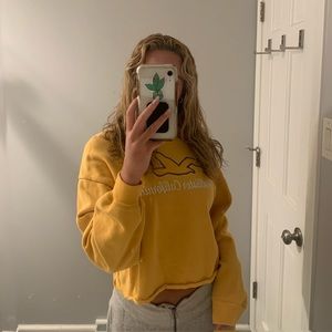 hi! i am selling a gently used cropped Hollister crewneck.